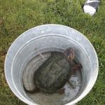 Green Acres Campground