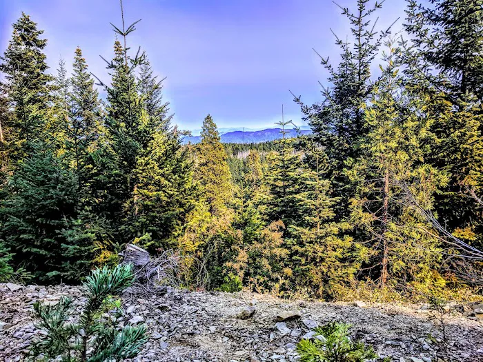 Bear Camp Viewpoint 8