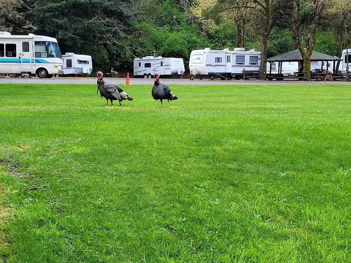 Indian Creek Campground 2
