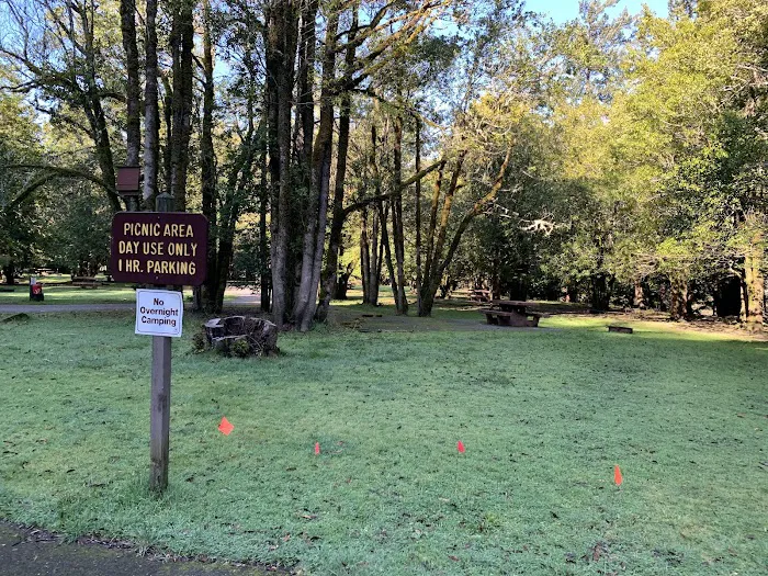 Quosatana Campground 0
