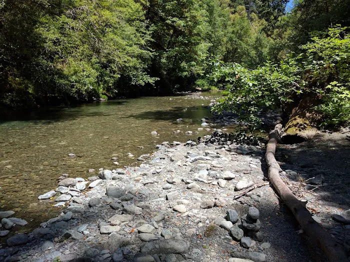 Sunshine Bar Campground 1