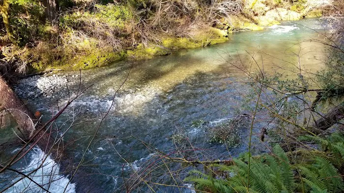 Sunshine Bar Campground 7