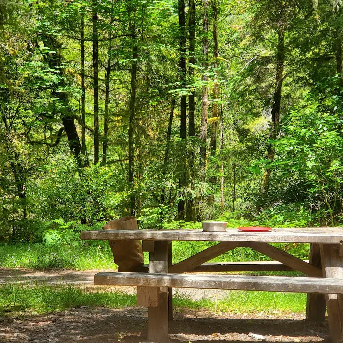 Sunshine Bar Campground 8