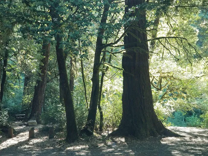 Butler Bar Campground 2