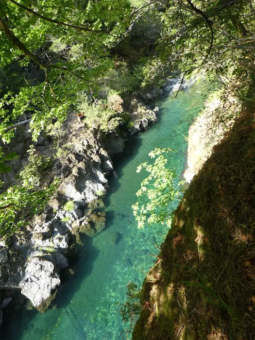 Butler Bar Campground 4