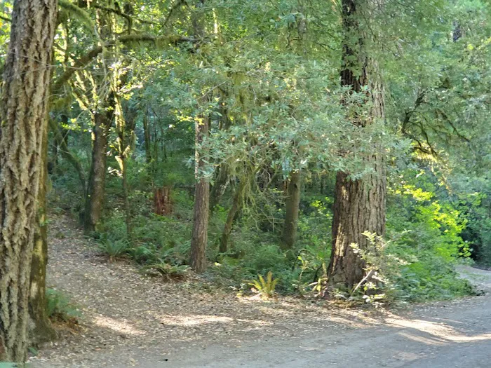 Butler Bar Campground 9