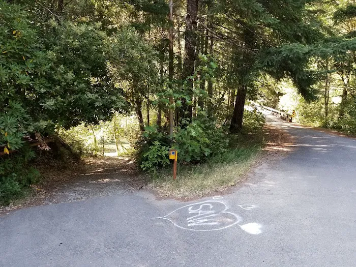 Butler Bar Campground 7