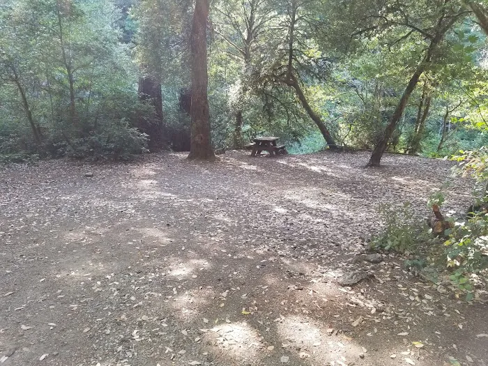 Butler Bar Campground 6