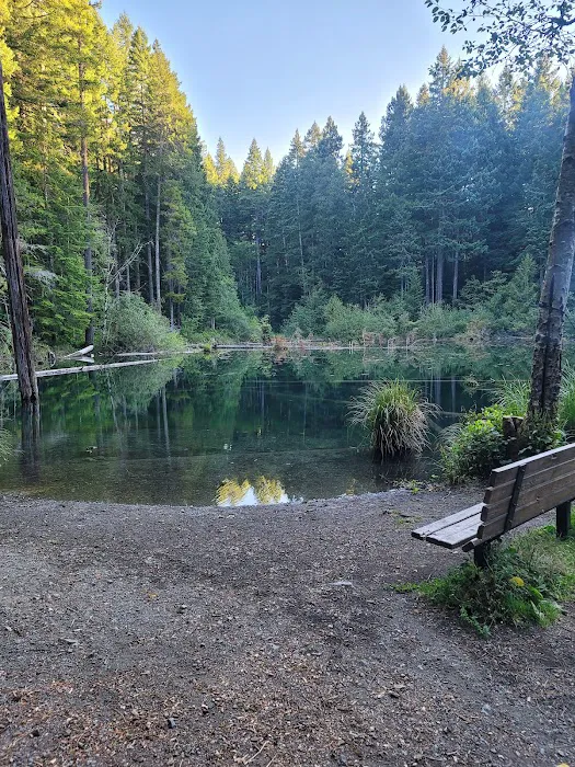 Laird Lake Campground 1