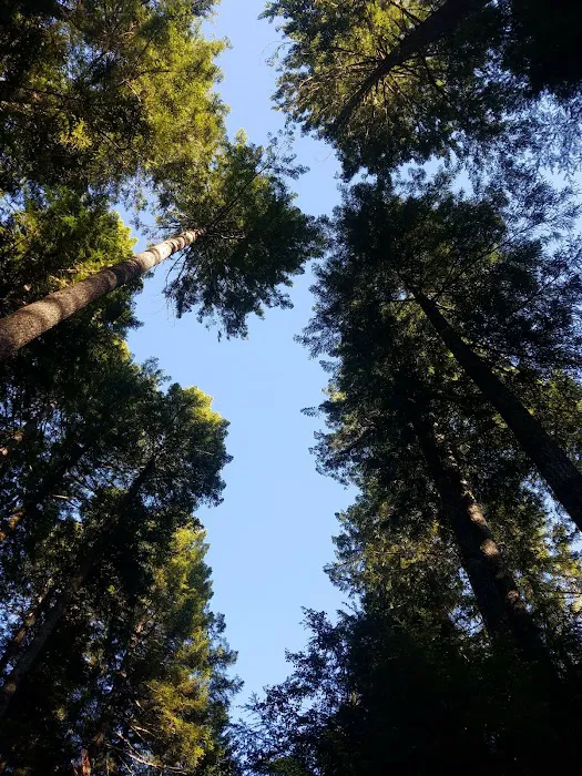 Laird Lake Campground 4