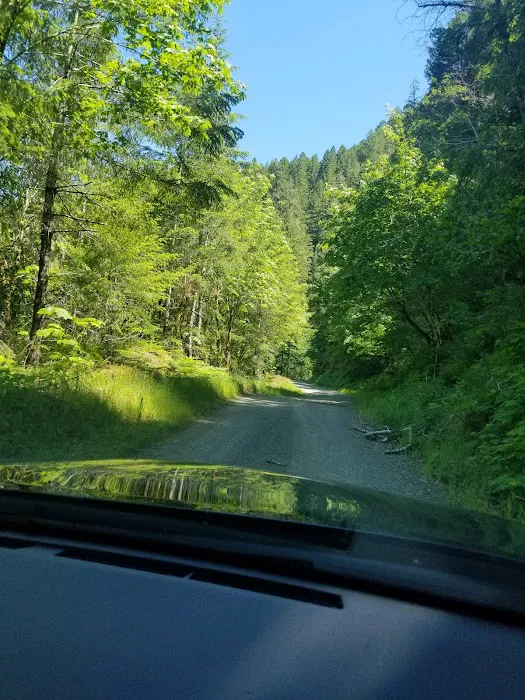 Laird Lake Campground 6