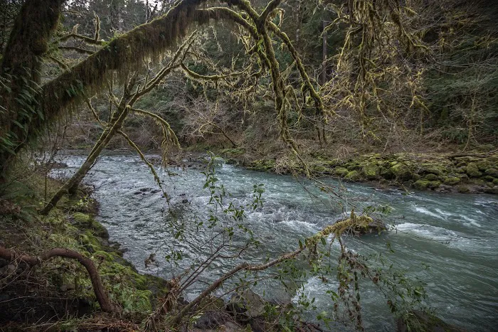 Sixes River Campground 0
