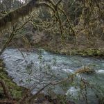 Sixes River Campground