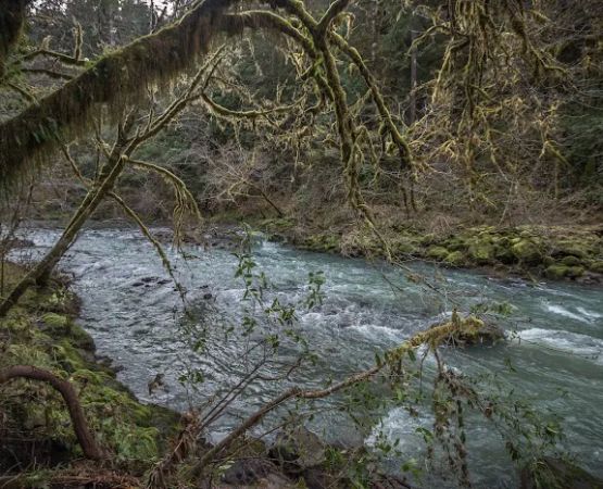 Sixes River Campground