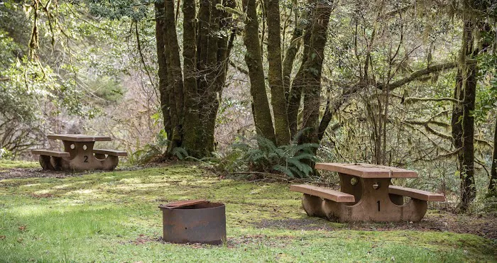 Sixes River Campground 2