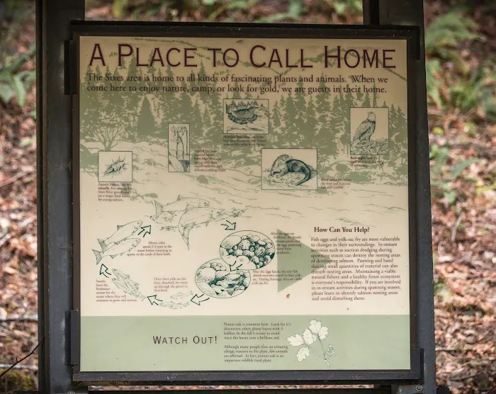 Sixes River Campground 3