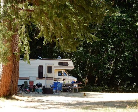 Edson Creek Campground