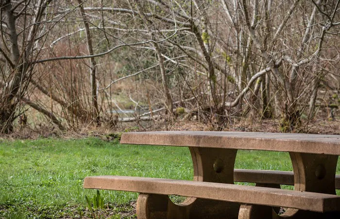 Edson Creek Campground 7