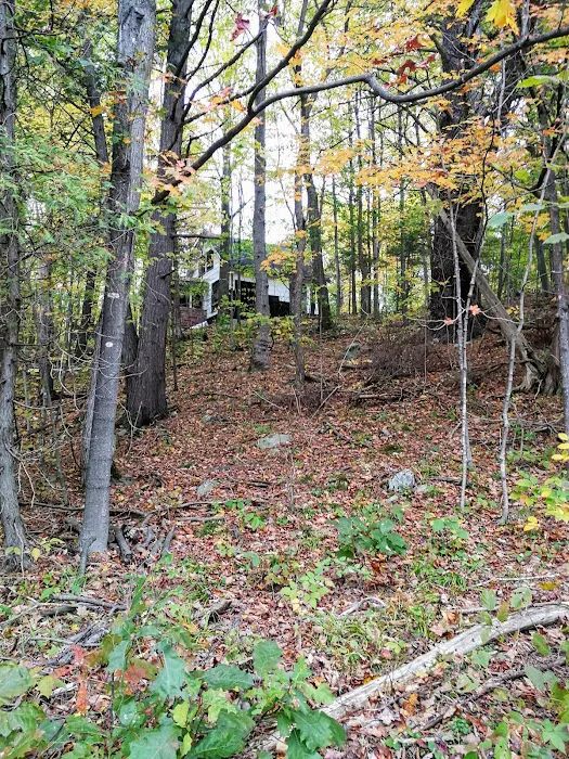 Burke Holiness Camp 3
