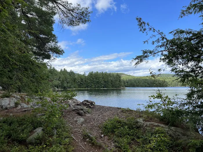 Pharaoh Lake Campsite near Pharaoh Mtn Trail Jct 3