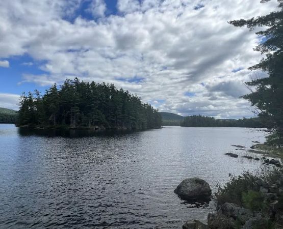 Pharaoh Lake Campsite near Pharaoh Mtn Trail Jct