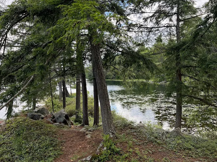Pharaoh Lake Campsite near Pharaoh Mtn Trail Jct 2