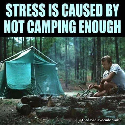 Clyde River Camping 6