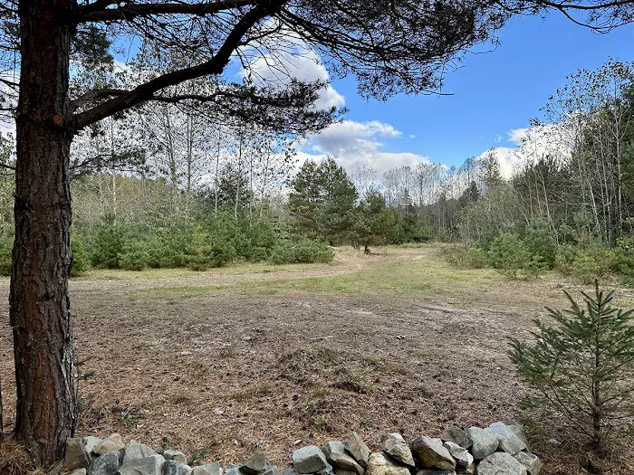 Green Mountain Glamping 5