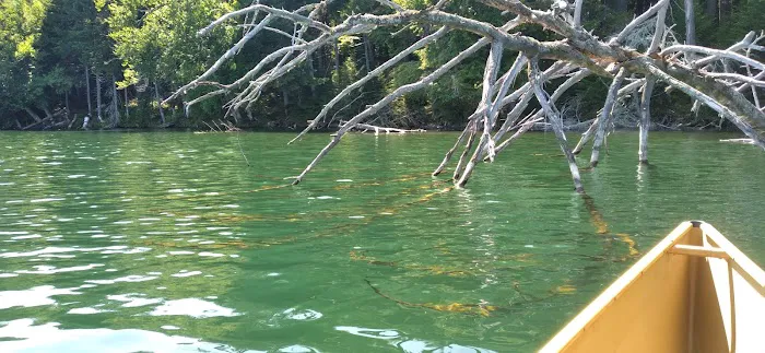 Little Green Pond 6