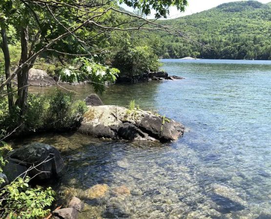 Agnes Island Campgrounds #1