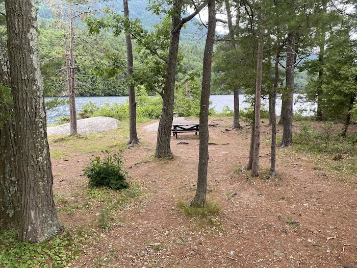 Cooper Island Campground 4