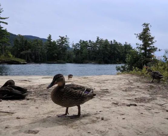 Mother Bunch Island Campgrounds #1-2