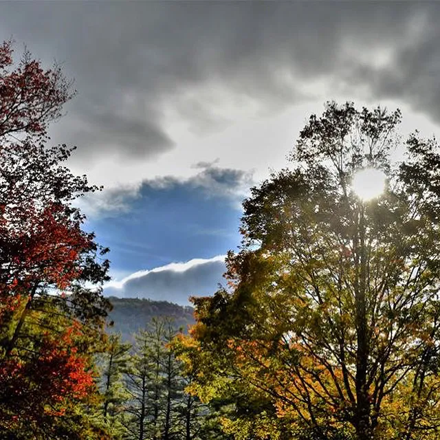 Whippoorwill Motel & Campsites 8