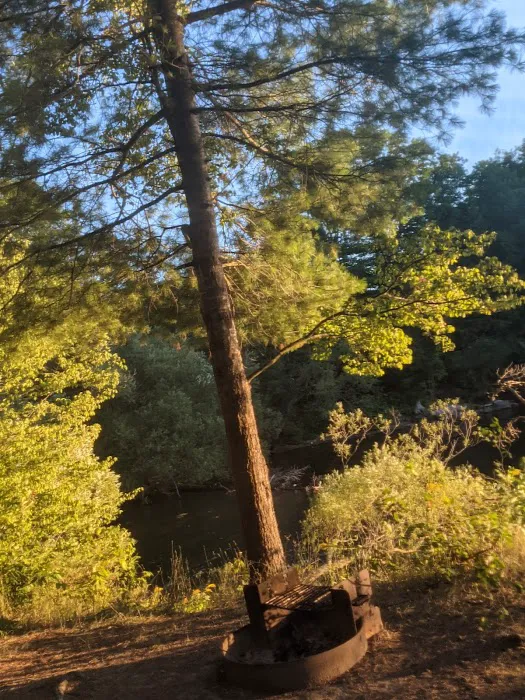 Wellesley Island Provincial Campground 1