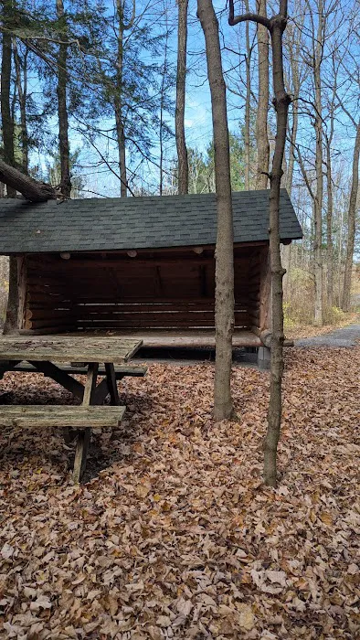 Adirondack Lean-tos Campsites 2