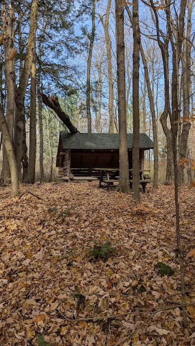 Adirondack Lean-tos Campsites 3
