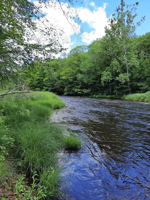 Brown's Campground 1