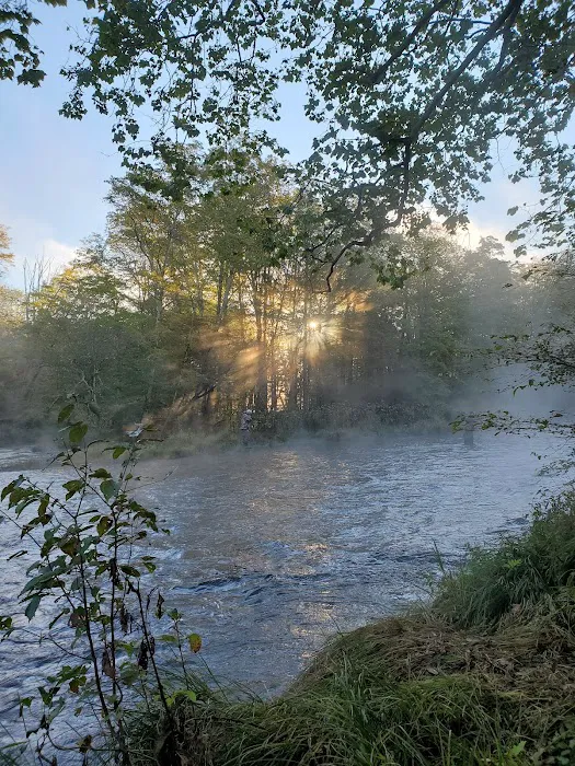 Brown's Campground 7