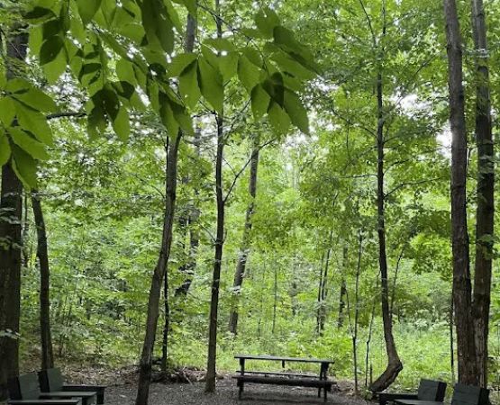 Allred Acres