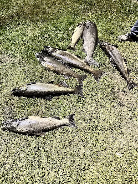 Sportsmans Paradise LLC 9