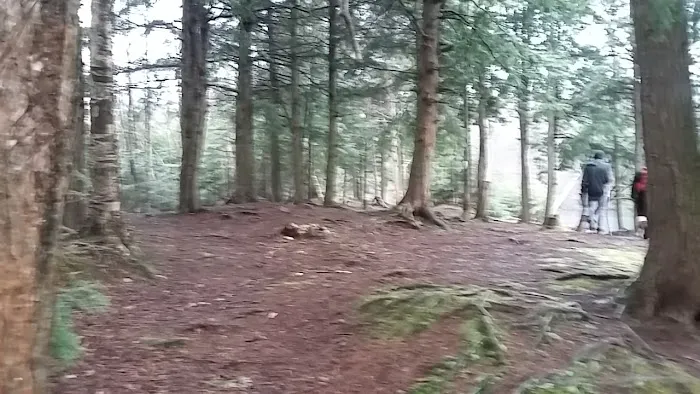 Hall Island 6