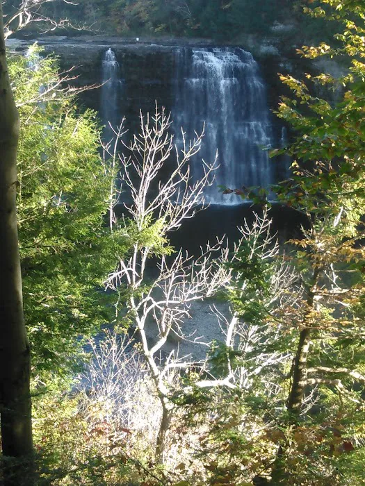 J & J Campgrounds 8