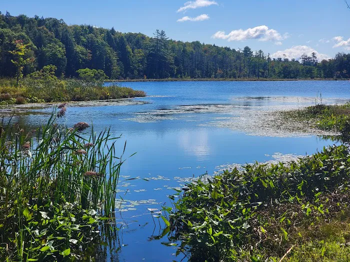 Bass Lake Resort & RV Campgrounds New York 3