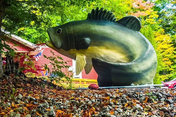 Bass Lake Resort & RV Campgrounds New York 6