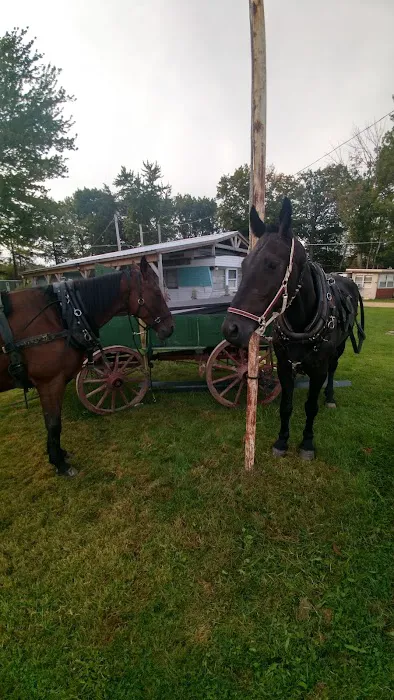 Dowie Dale Campground 6