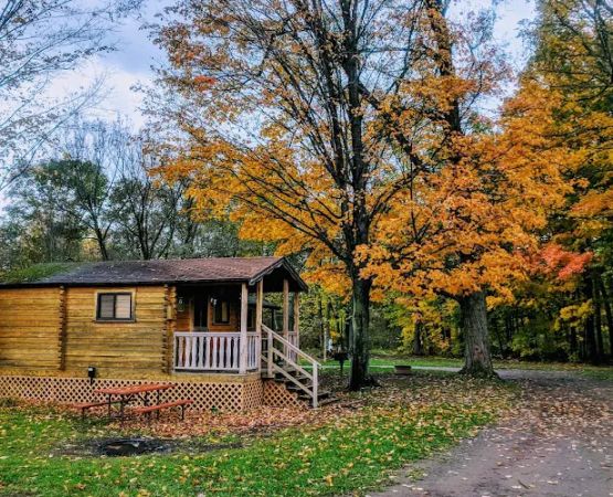 Yogi Bear's Jellystone Park at Mexico, NY