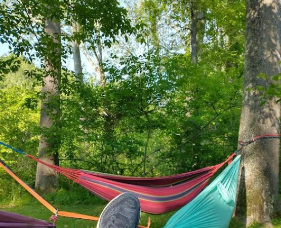 Cacapon Junction Campsite