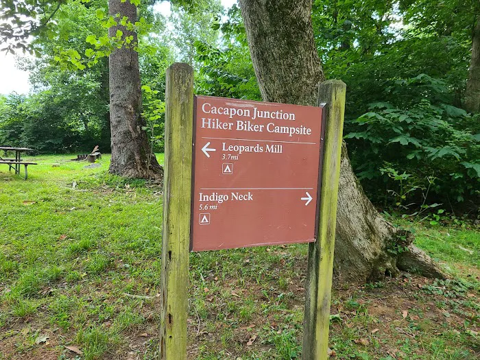 Cacapon Junction Campsite 5
