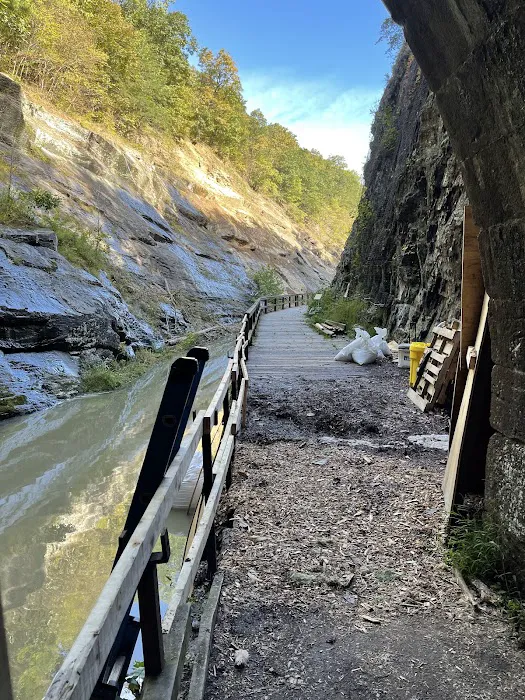 Paw Paw Tunnel Campground 8