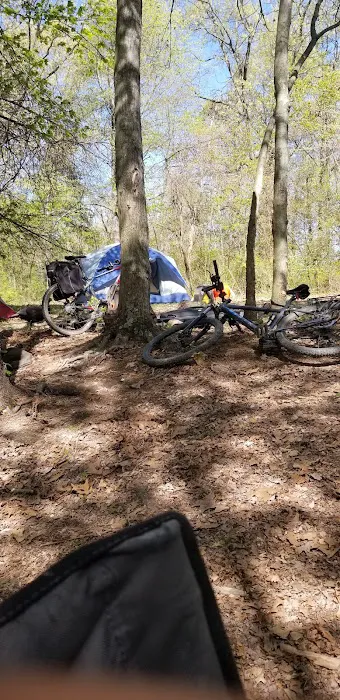 Campsite 100 0